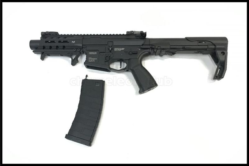 東京)G&G ARP556電動ガン ショップカスタム品 PERUN組込