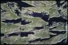 chc-2502013301-ai-081506685_5.jpg