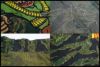 chc-2502013306-ai-081506687_10.jpg