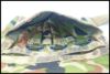 chc-2506109612-ai-081528614_4.jpg