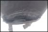 chc-2507149705-ai-081519597_6.jpg